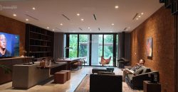 Cho thuê biệt thự tại Vinhomes Riverside & Harmony, LH 0968855***